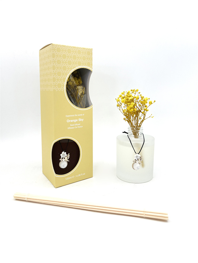 bulk buy diffuser sets customization upon request, China company